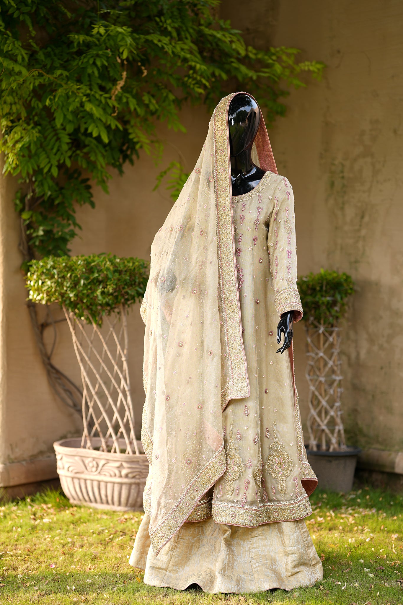 Blush Ivory