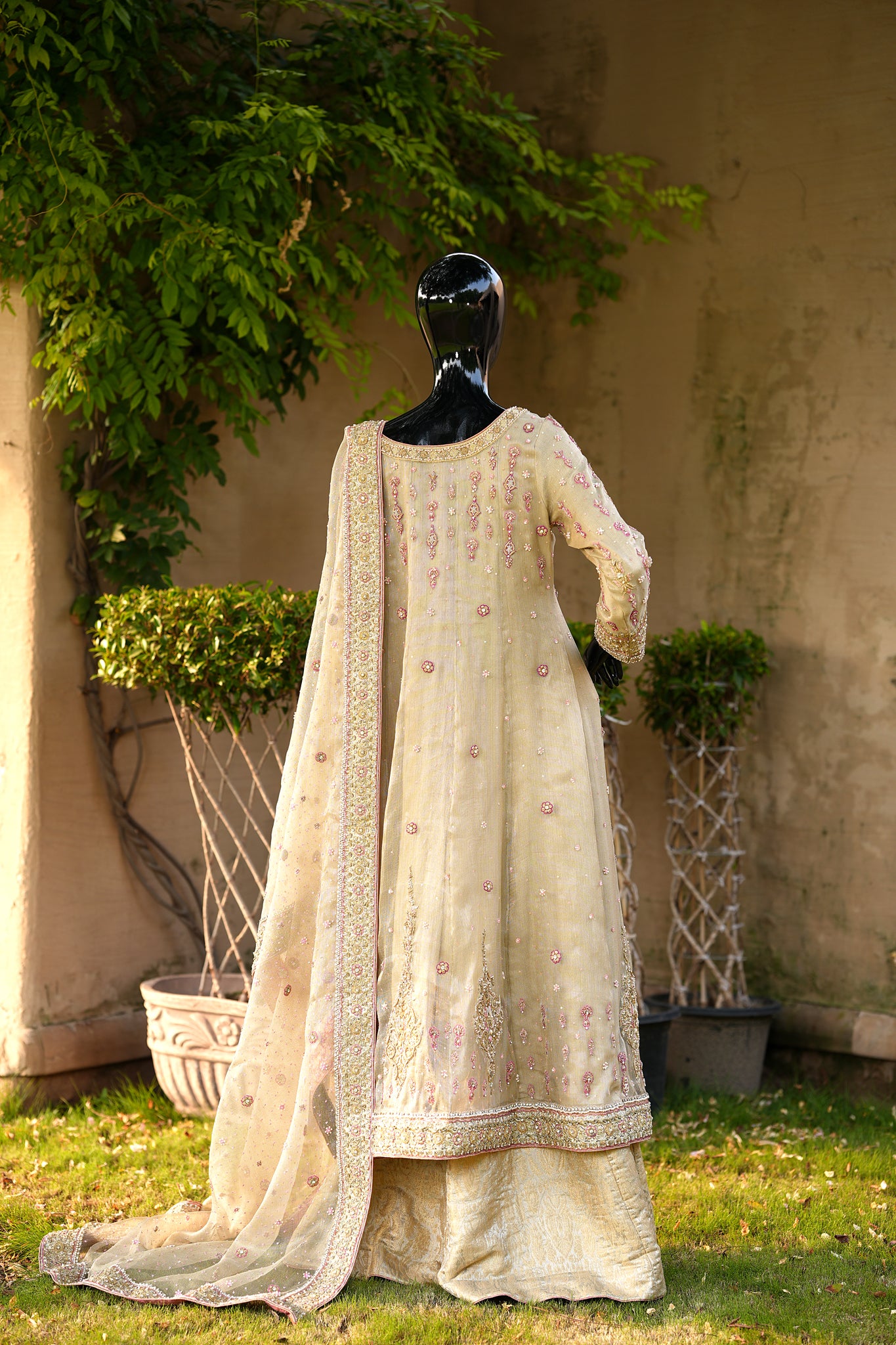 Blush Ivory